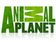Animal Planet