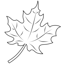 http://*****/uploads/posts/2012-01/_how-to-draw-a-leaf-8.gif