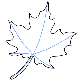 http://*****/uploads/posts/2012-01/_how-to-draw-a-leaf-7.gif