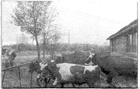 Created by DPE, Copyright IRIS 2005