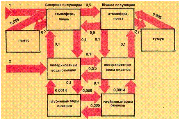 vasilen3.jpg