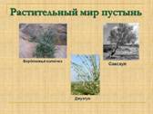 \\iro38.local\Shares\Classes\class1\Документы\C168u\Документы\картинки\пустыня\Rastitelnyj-mir-pustyn.jpg