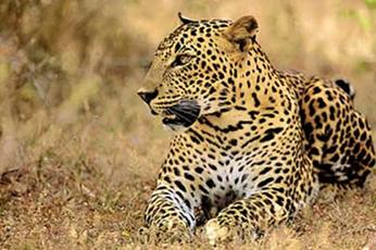 C:\Documents and Settings\Shhammi\Desktop\National_Park.jpg