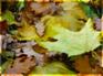 0_1daf7_9a826bb3_-1-L