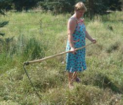 T:\Дрововозова\фото\2010 фото\P1010613.JPG