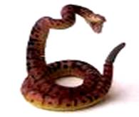 http://tbn0.google.com/images?q=tbn:QZem_ke6dx3UzM:http://danilka.com/images/ddp_gad_zmei_s.jpg