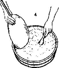 http://*****/images/preg/3-4.jpg