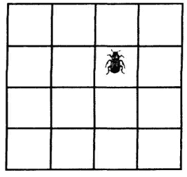 C:\Documents and Settings\Светлана\Local Settings\Temporary Internet Files\Content.Word\razv2_56.gif