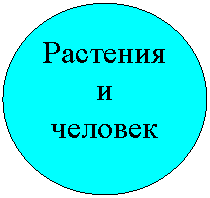 ����: �������� � �������