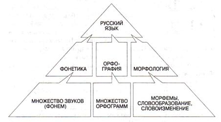 пирамида понятий
