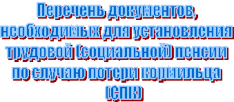Перечень документов,
необходимых для установления
трудовой (социальной) пенсии
по случаю потери кормильца
(СПК)