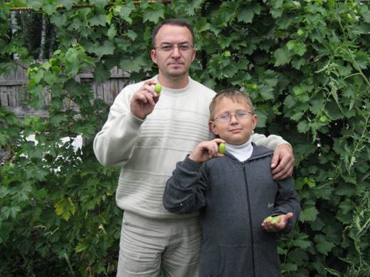 D:\Фото и видео\Семья и близкие\Проект 2011\0016.JPG
