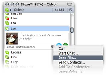http://www.skype.com/i/legacy/images/guides/skypeformac/24.png