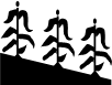 D:\��� �������\��������\���\FD01553_.WMF