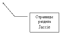 Выноска 3: Страницы раздела
Jaccie