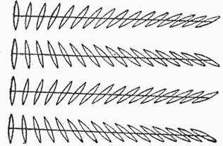 parall3.gif (8499 bytes)