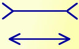 muller.gif (5636 bytes)