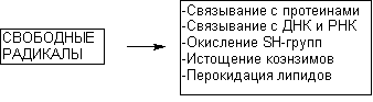 t-p67