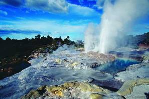 ��������: Geysers at Whakarewarewa