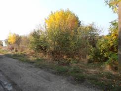 C:\Users\1\Desktop\PA060x600).jpg