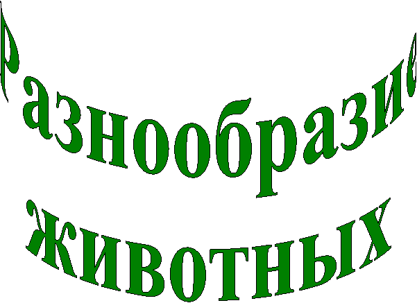 Разнообразие
животных