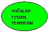 Овал: жабы,ля-
гушки, триитоны