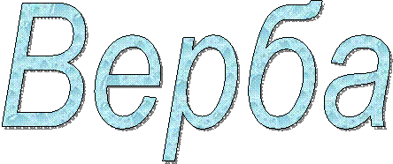 Верба