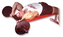 http://www.ast-ss.com/training/exercises/arms/images/lying_triep_extensions_bottom.jpg
