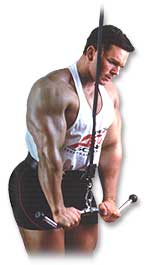 http://www.ast-ss.com/training/exercises/arms/images/tricep_push_downs_bottom.jpg