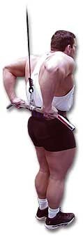 http://www.ast-ss.com/training/exercises/arms/images/push_down_behind_top.jpg