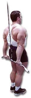 http://www.ast-ss.com/training/exercises/arms/images/push_down_behind_bot.jpg