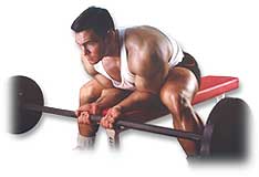 http://www.ast-ss.com/training/exercises/arms/images/barbell_wrist_curls_bottom.jpg
