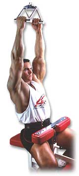 http://www.ast-ss.com/training/exercises/back/images/v_bar_pull_down_top.jpg