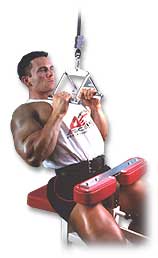 http://www.ast-ss.com/training/exercises/back/images/v_bar_pull_down_bottom.jpg