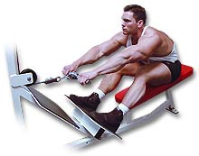http://www.ast-ss.com/training/exercises/back/images/Saeted_Cable_Row_Down.jpg