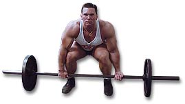http://www.ast-ss.com/training/exercises/back/images/Good_Morning_Down.jpg