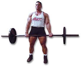 http://www.ast-ss.com/training/exercises/back/images/Good_Morning_Up.jpg