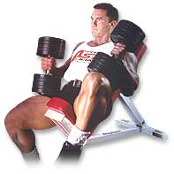 http://www.ast-ss.com/training/exercises/chest/images/incline_dumbbell_press_2.jpg