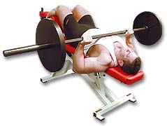 http://www.ast-ss.com/training/exercises/chest/images/Decline_Bar_Bench_Down.jpg