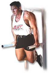 http://www.ast-ss.com/training/exercises/chest/images/dips_top.jpg