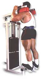 http://www.ast-ss.com/training/exercises/legs/images/standing_calf_machine_bottom.jpg