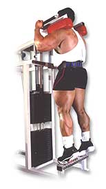 http://www.ast-ss.com/training/exercises/legs/images/standing_calf_machine_top.jpg