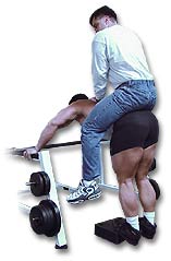 http://www.ast-ss.com/training/exercises/legs/images/Donkey_Calf_Down.jpg