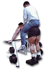 http://www.ast-ss.com/training/exercises/legs/images/Donkey_Calf_Up.jpg