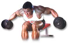 http://www.ast-ss.com/training/exercises/shoulders/images/seated_rear_laterals_top.jpg