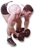 http://www.ast-ss.com/training/exercises/shoulders/images/bent_rear_lat_bot.jpg