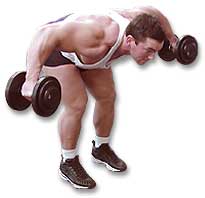 http://www.ast-ss.com/training/exercises/shoulders/images/bent_rear_lat_top.jpg