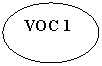 ����: VOC 1