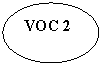 ����: VOC 2