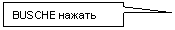 ������������� �������: BUSCHE ������